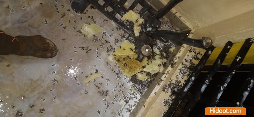 karthikeya pest control services near padmavathi nagar in vizianagaram - Photo No.0
