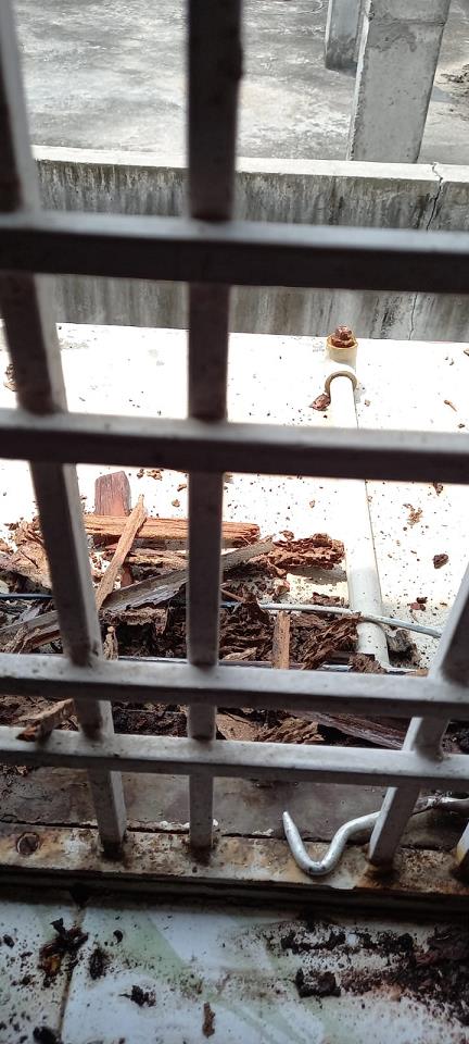 city pest control services hanamkonda in warangal - Photo No.9