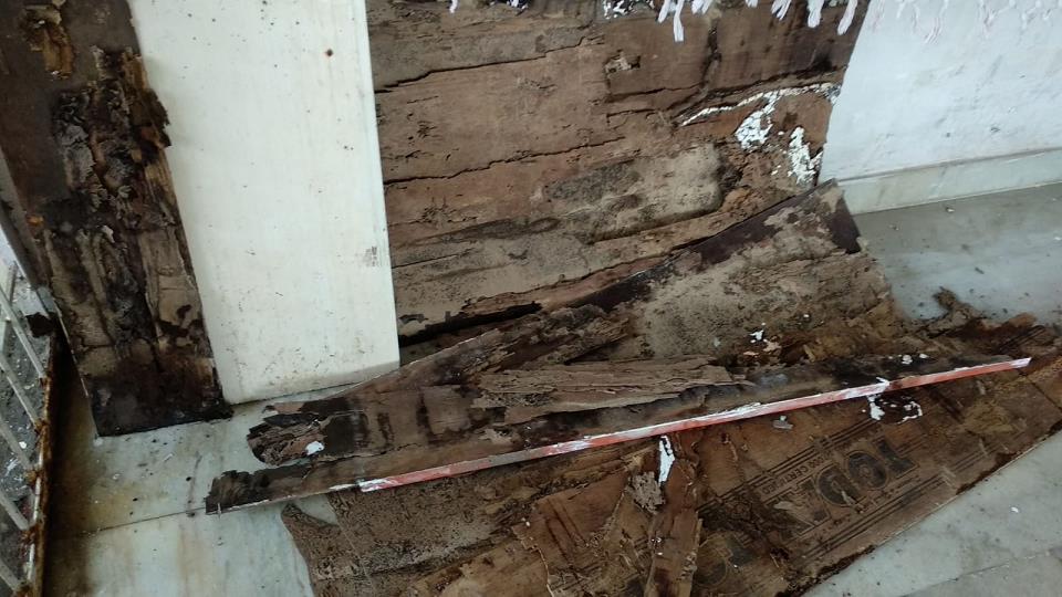 city pest control services hanamkonda in warangal - Photo No.8