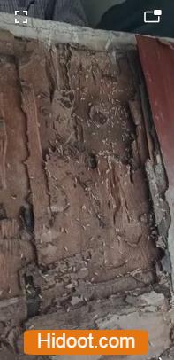 city pest control services hanamkonda in warangal - Photo No.5