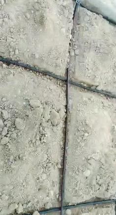 eagle pest management services thimmapet in warangal - Photo No.6