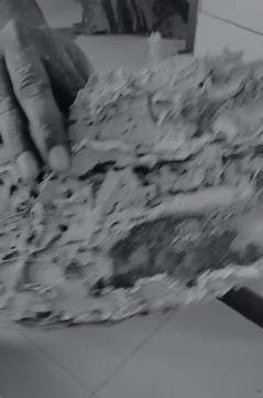 eagle pest management services thimmapet in warangal - Photo No.1