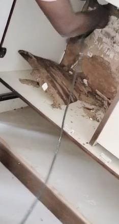 eagle pest management services thimmapet in warangal - Photo No.3