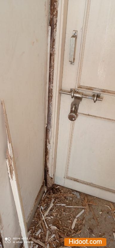 safety pest control services near hanamkonda in warangal telangana - Photo No.8