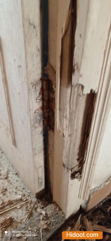 safety pest control services near hanamkonda in warangal telangana - Photo No.7