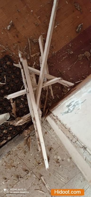 safety pest control services near hanamkonda in warangal telangana - Photo No.6