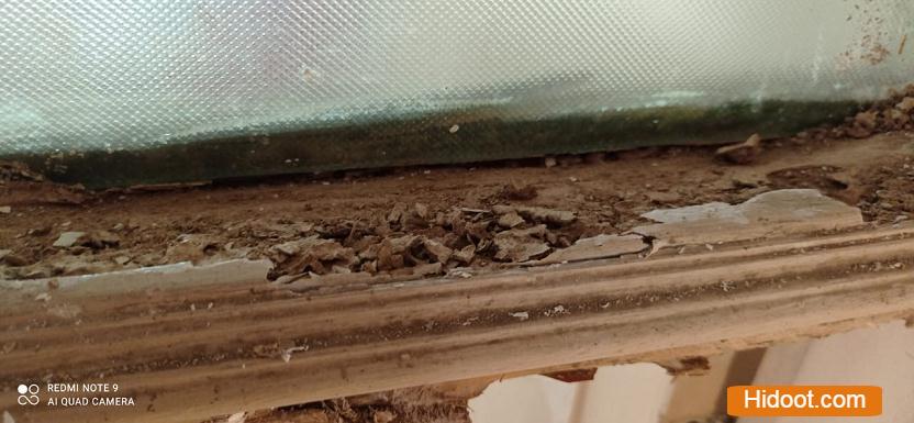 safety pest control services near hanamkonda in warangal telangana - Photo No.1