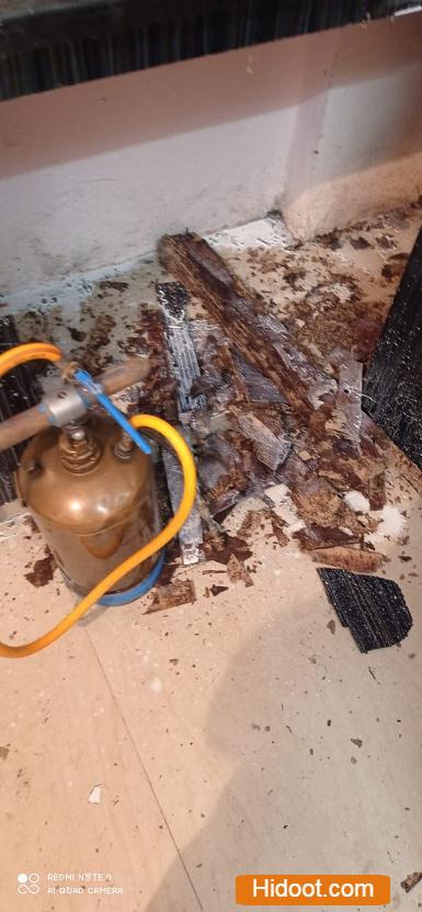 safety pest control services near hanamkonda in warangal telangana - Photo No.0