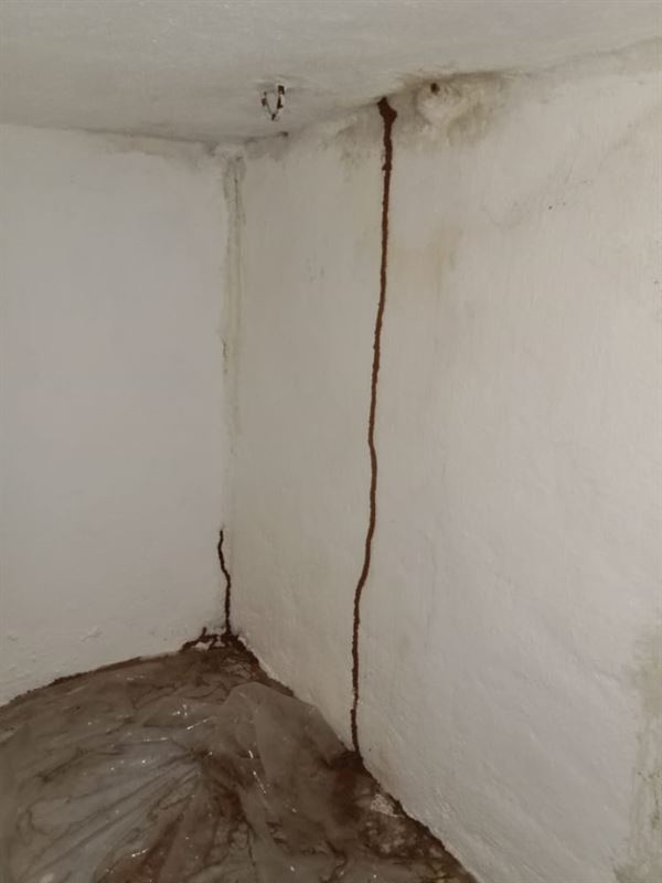 telangana pest control krishna colony in warangal - Photo No.5