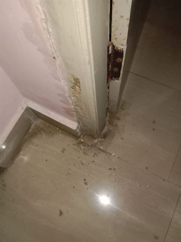 telangana pest control krishna colony in warangal - Photo No.1