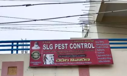 slg pest control services kld road in anantapur - Photo No.1