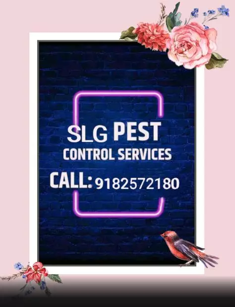 slg pest control services kld road in anantapur - Photo No.4