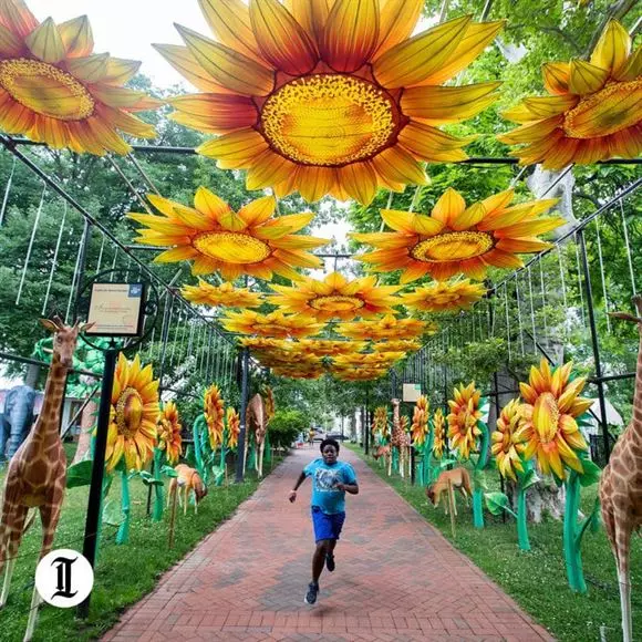 ssv events repalle repalle in bapatla - Photo No.13