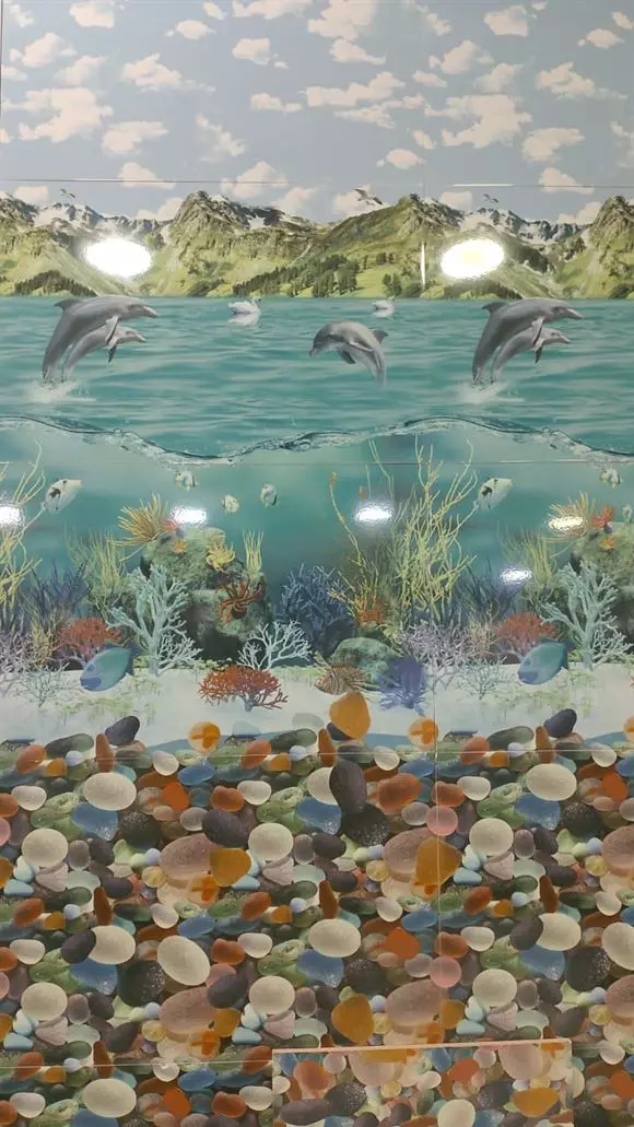 shivaji foundation mangalagiri in guntur - Photo No.24