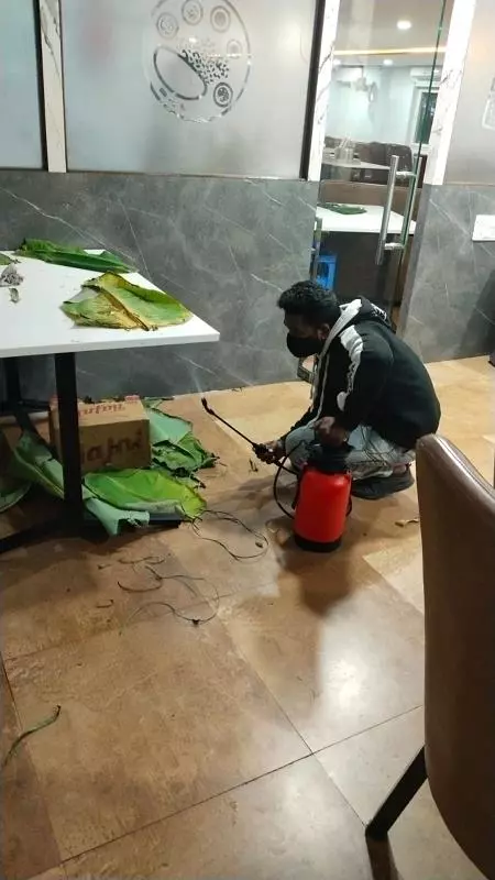 Pest Link Solutions Services Secunderabad In Hyderabad - Photo No. 81