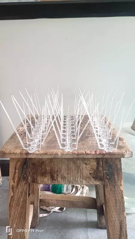 Sharoni Safety Nets Amberpet In Hyderabad - Photo No. 11