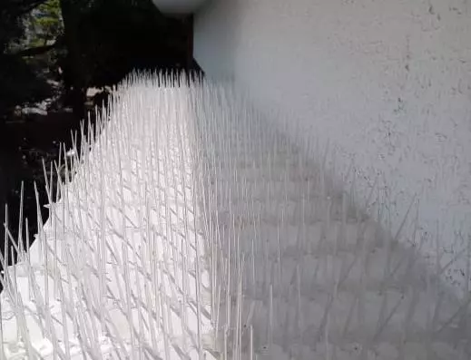 ab safety nets kphb colony in hyderabad - Photo No.32