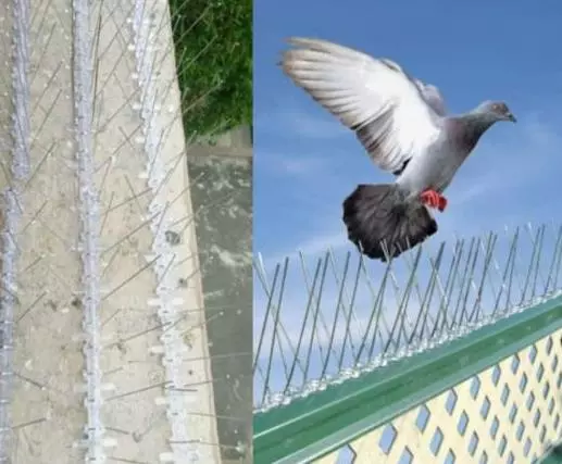 ab safety nets kphb colony in hyderabad - Photo No.22