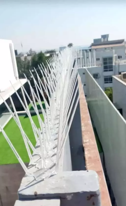 ab safety nets kphb colony in hyderabad - Photo No.16