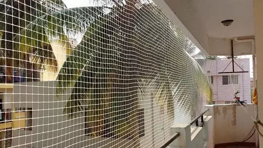 kadambari safety nets karmanghat in hyderabad - Photo No.2