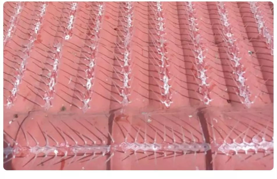 meghana enterprises saroornagar in hyderabad - Photo No.28