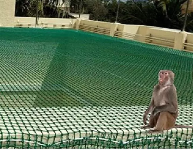 meghana enterprises saroornagar in hyderabad - Photo No.0