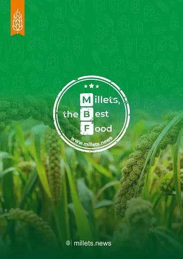 sarada food processing sangareddy in hyderabad - Photo No.12