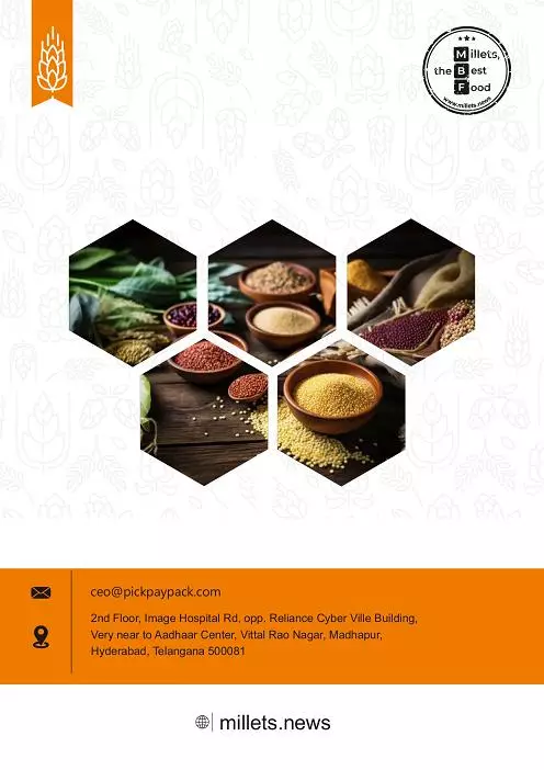 sarada food processing sangareddy in hyderabad - Photo No.1