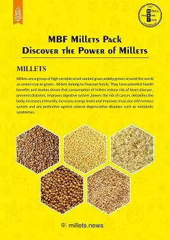 sarada food processing sangareddy in hyderabad - Photo No.11