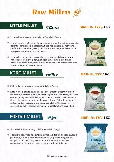 sarada food processing sangareddy in hyderabad - Photo No.10