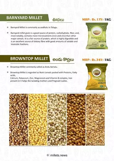 sarada food processing sangareddy in hyderabad - Photo No.9