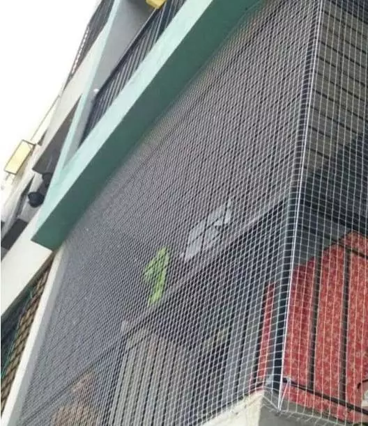 rajulu safety nets karmanghat in hyderabad - Photo No.5