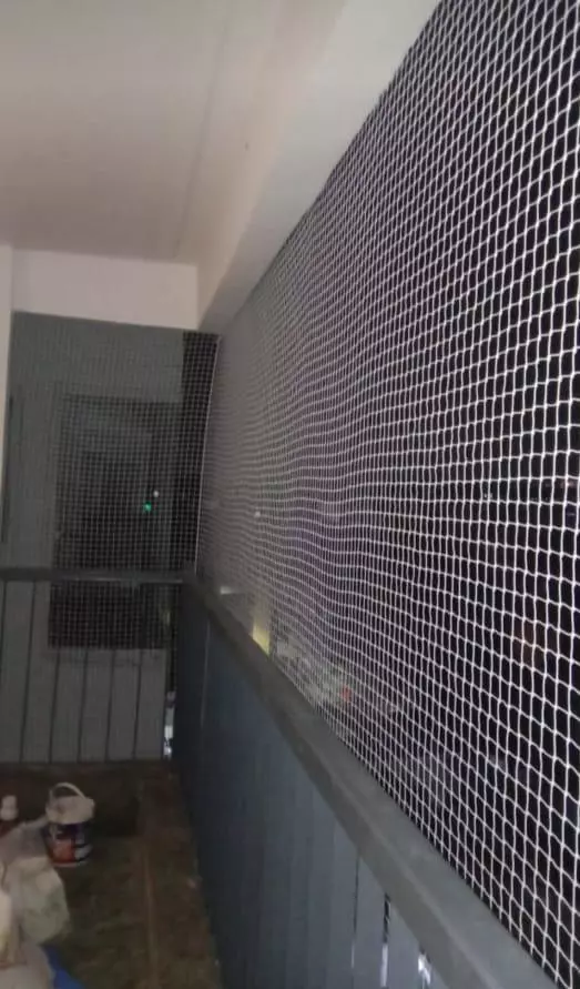 rajulu safety nets karmanghat in hyderabad - Photo No.3