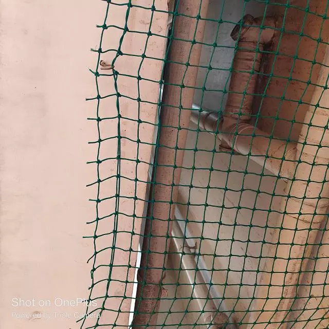 rajulu safety nets karmanghat in hyderabad - Photo No.16