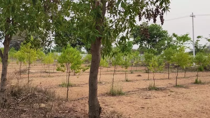 ak real estate and services uppal in hyderabad - Photo No.5