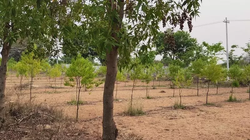 ak real estate and services uppal in hyderabad - Photo No.4