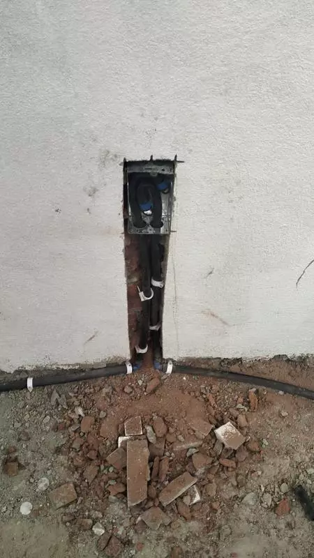 perfect pest control proddatur in kadapa - Photo No.14