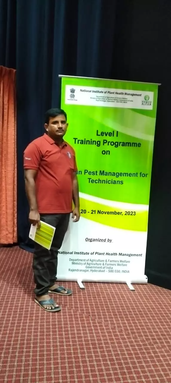 perfect pest control proddatur in kadapa - Photo No.12