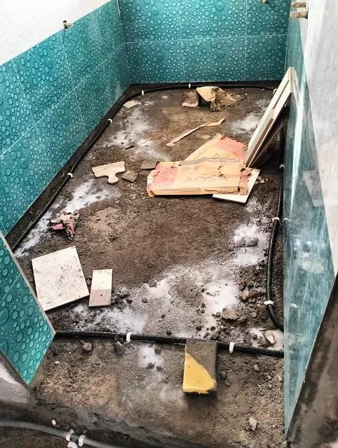 perfect pest control proddatur in kadapa - Photo No.4