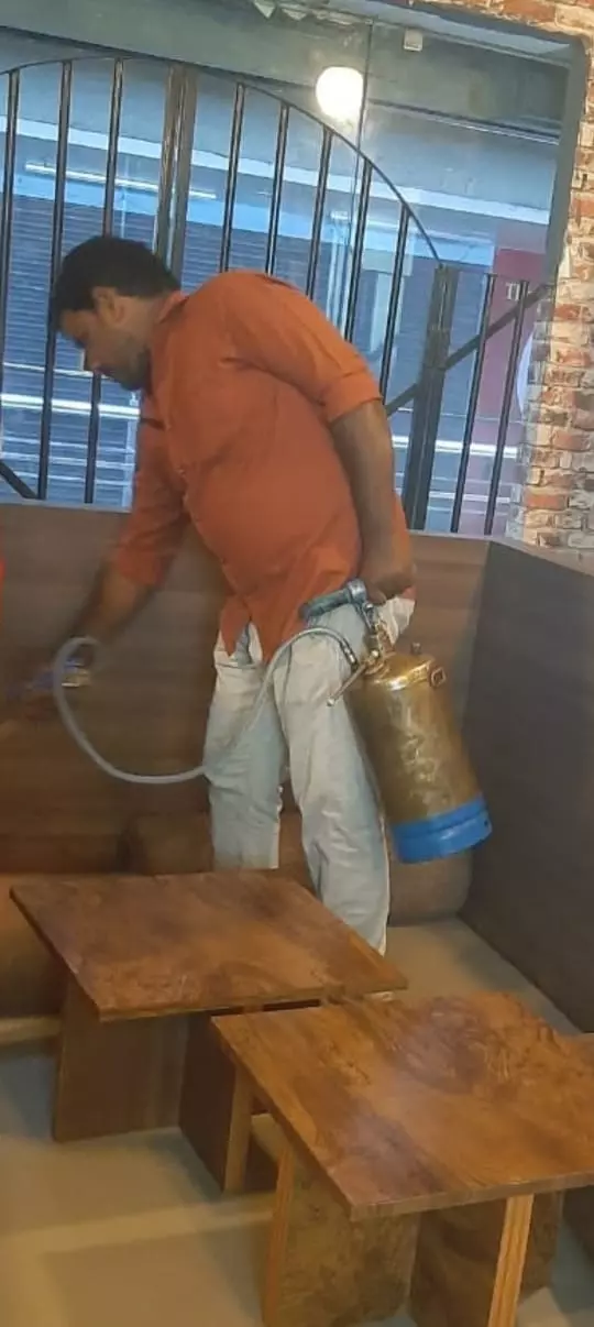 perfect pest control proddatur in kadapa - Photo No.5