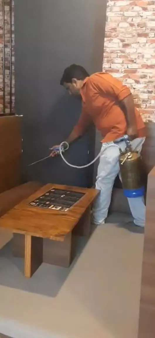 perfect pest control proddatur in kadapa - Photo No.0