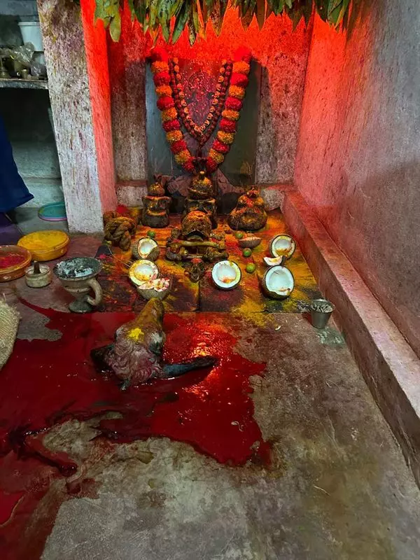 challa sampath astrologer laxmipur in karimnagar - Photo No.1