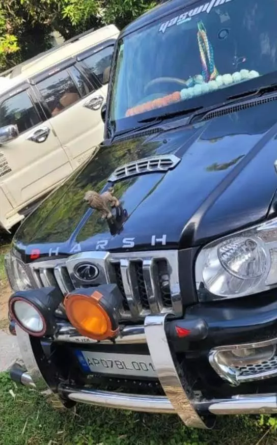 ln malleswari car travels gudivada in krishna - Photo No.0