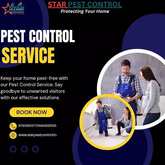 star pest control services ashok nagar in kurnool - Photo No.1