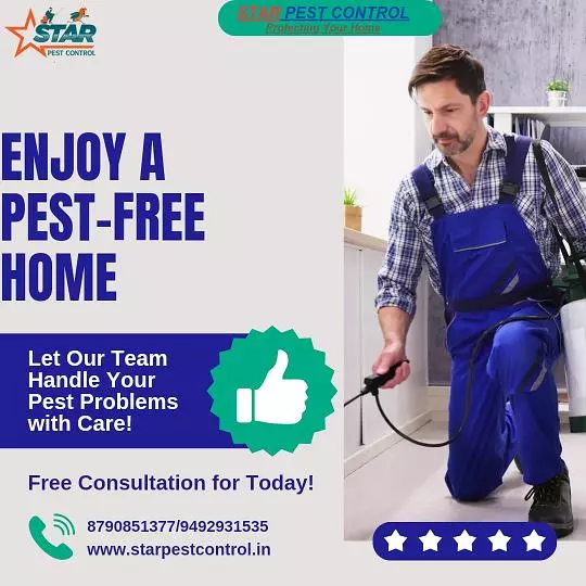 star pest control services ashok nagar in kurnool - Photo No.3