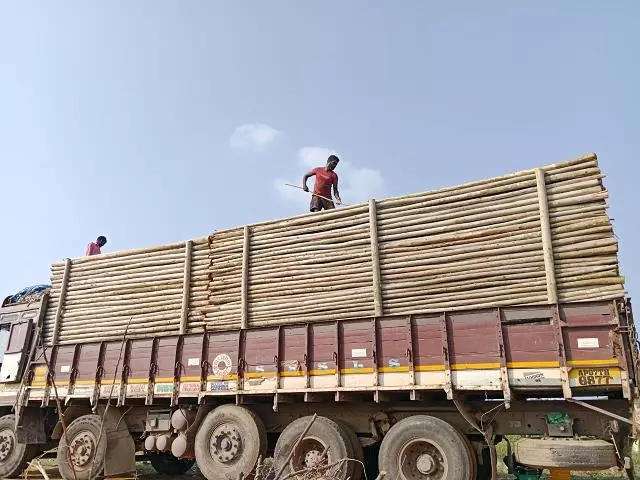 sdls transport ntr nagar in nellore - Photo No.12