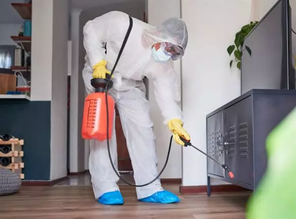 Durga Bhavani Pest Control Services Vinayaka Nagar In Nizamabad - Photo No. 11