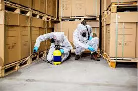 Durga Bhavani Pest Control Services Vinayaka Nagar In Nizamabad - Photo No. 61