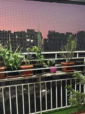 dhanalakshmi safety nets hadapsar in pune - Photo No.8