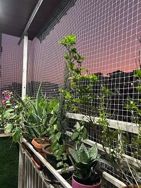 dhanalakshmi safety nets hadapsar in pune - Photo No.7